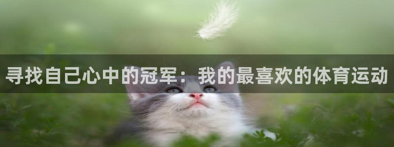 哈哈体育