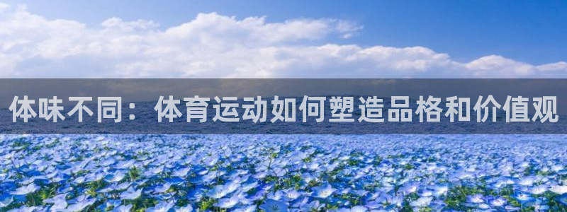 哈哈体育十年