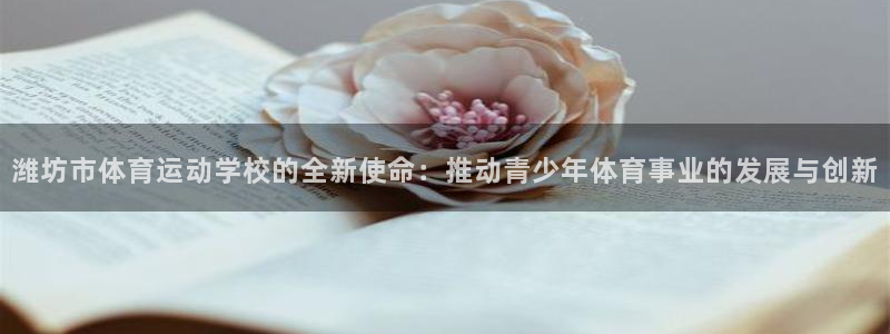 哈哈体育十年
