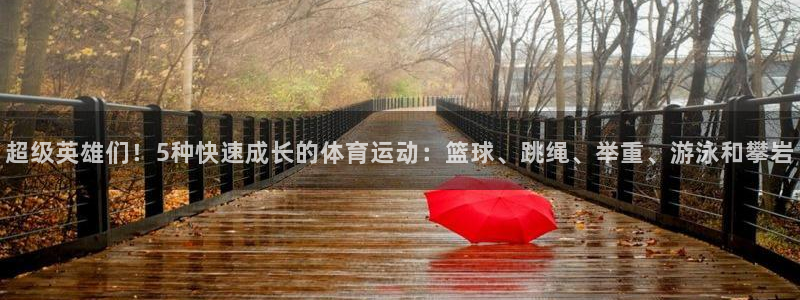 哈哈体育下载