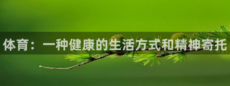 哈哈体育下载