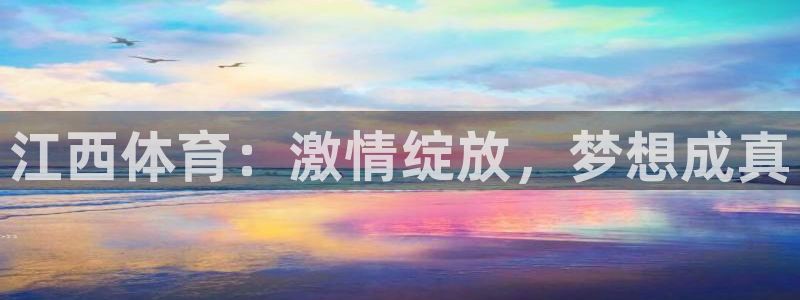 哈哈体育十年