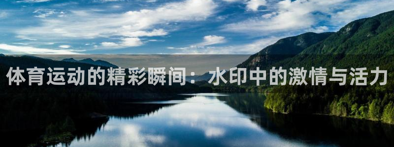 哈哈体育十年