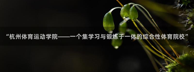 哈哈体育下载