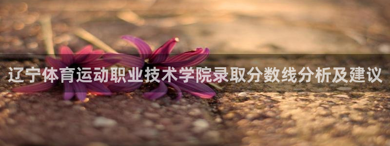 哈哈体育十年