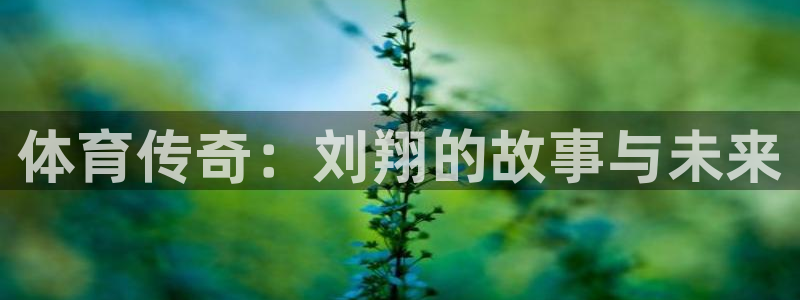 哈哈体育十年