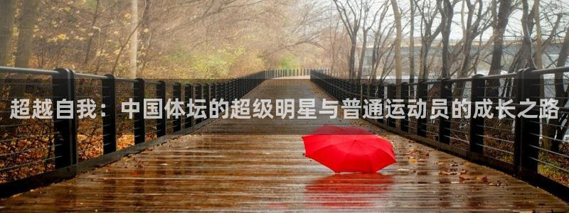 哈哈体育下载